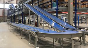 Conveyor Belt Systems Explained: A Complete Guide with Facts, Knowledge, and Practical Tips