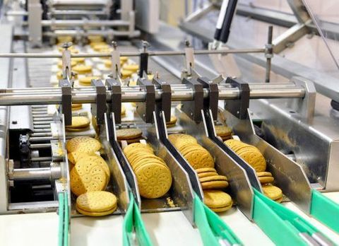 Explore Commercial Food Processing Equipment: Key Facts and Industry Applications